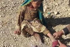 32