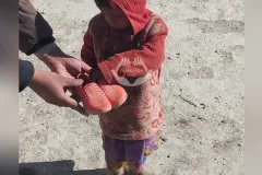 41